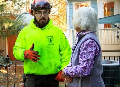 Expert giving estimate for Tree Removal